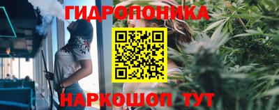 не бодяженный Будённовск